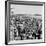 Brighton, East Sussex, 1962-Staff-Framed Photographic Print