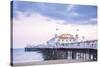 Brighton Palace Pier from the beach, Brighton, Sussex, England, United Kingdom, Europe-Alex Robinson-Stretched Canvas