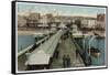 Brighton, Sussex: the West Pier-null-Framed Stretched Canvas
