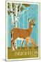 Brighton, Utah - Deer and Fawn Letterpress-Lantern Press-Mounted Art Print