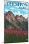 Brighton, Utah - Flowers and Mountain Range-Lantern Press-Mounted Art Print