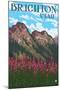 Brighton, Utah - Flowers and Mountain Range-Lantern Press-Mounted Art Print