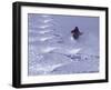 Brighton, Utah, USA-null-Framed Photographic Print