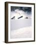 Brighton, Utah, USA-null-Framed Photographic Print