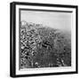 Brighton-Staff-Framed Photographic Print