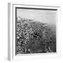 Brighton-Staff-Framed Photographic Print