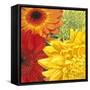 Brights-Jenaya Jackson-Framed Stretched Canvas