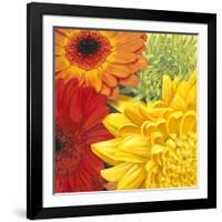 Brights-Jenaya Jackson-Framed Art Print