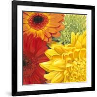 Brights-Jenaya Jackson-Framed Art Print