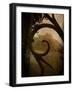 Brightspace-Tim Kahane-Framed Photographic Print