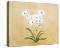 Flower II-Brigitte Beliose-Stretched Canvas