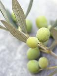 Olive Sprig with Green Olives-Brigitte Sporrer-Photographic Print