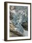 Briksdal Glacier (Briksdalsbreen), Western Josterdalsbreen, Olden, Norway, Scandinavia, Europe-Tony Waltham-Framed Photographic Print