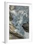 Briksdal Glacier (Briksdalsbreen), Western Josterdalsbreen, Olden, Norway, Scandinavia, Europe-Tony Waltham-Framed Photographic Print