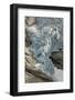 Briksdal Glacier (Briksdalsbreen), Western Josterdalsbreen, Olden, Norway, Scandinavia, Europe-Tony Waltham-Framed Photographic Print