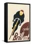 Brillian Cycles-null-Framed Stretched Canvas