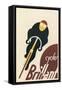 Brillian Cycles-null-Framed Stretched Canvas