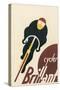 Brillian Cycles-null-Stretched Canvas