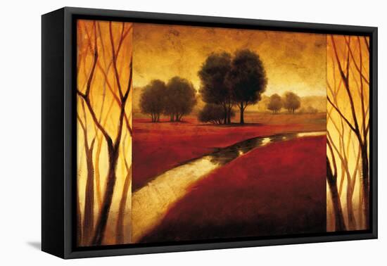 Brilliance-Gregory Williams-Framed Stretched Canvas
