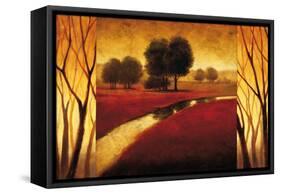 Brilliance-Gregory Williams-Framed Stretched Canvas