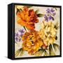 Brilliant Bloom I-Pamela Davis-Framed Stretched Canvas