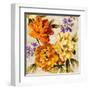 Brilliant Bloom I-Pamela Davis-Framed Art Print