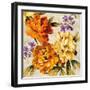 Brilliant Bloom I-Pamela Davis-Framed Art Print