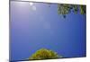 Brilliant Blue Sky-null-Mounted Poster