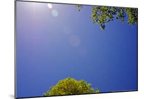 Brilliant Blue Sky-null-Mounted Poster