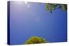 Brilliant Blue Sky-null-Stretched Canvas