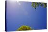 Brilliant Blue Sky-null-Stretched Canvas