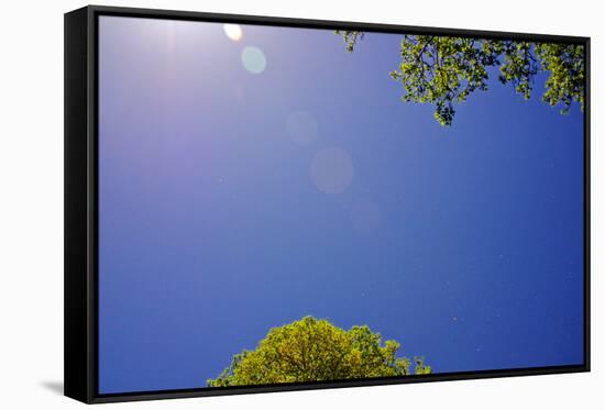 Brilliant Blue Sky-null-Framed Stretched Canvas