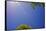 Brilliant Blue Sky-null-Framed Stretched Canvas