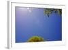 Brilliant Blue Sky-null-Framed Photo