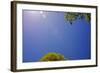 Brilliant Blue Sky-null-Framed Photo