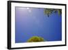 Brilliant Blue Sky-null-Framed Photo