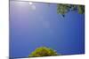 Brilliant Blue Sky-null-Mounted Photo