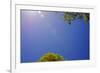 Brilliant Blue Sky-null-Framed Photo