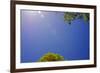 Brilliant Blue Sky-null-Framed Photo