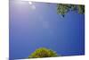 Brilliant Blue Sky-null-Mounted Photo