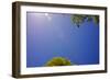 Brilliant Blue Sky-null-Framed Photo