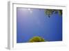 Brilliant Blue Sky-null-Framed Photo