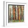 Brilliant Forest 1-Julie Joy-Framed Giclee Print