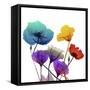 Brilliant Garden 1-Albert Koetsier-Framed Stretched Canvas