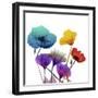 Brilliant Garden 1-Albert Koetsier-Framed Photographic Print