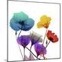 Brilliant Garden 1-Albert Koetsier-Mounted Photographic Print