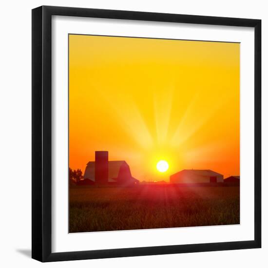 Brilliant Orange Sunrise over a Corn Field in Iowa, and Barn with a Bright Yellow Sun on a Cool Fal-Paul Orr-Framed Photographic Print