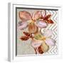 Brilliant Petals I-Margaret Ferry-Framed Art Print