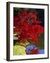 Brilliant Red Acer Palmatum Cripsii in Autumn, Sheffield Park Gardens, East Sussex, England-Ruth Tomlinson-Framed Photographic Print