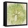 Brilliant Seaweed VIII-null-Framed Stretched Canvas